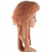 C-076~C-Sgi Salmon